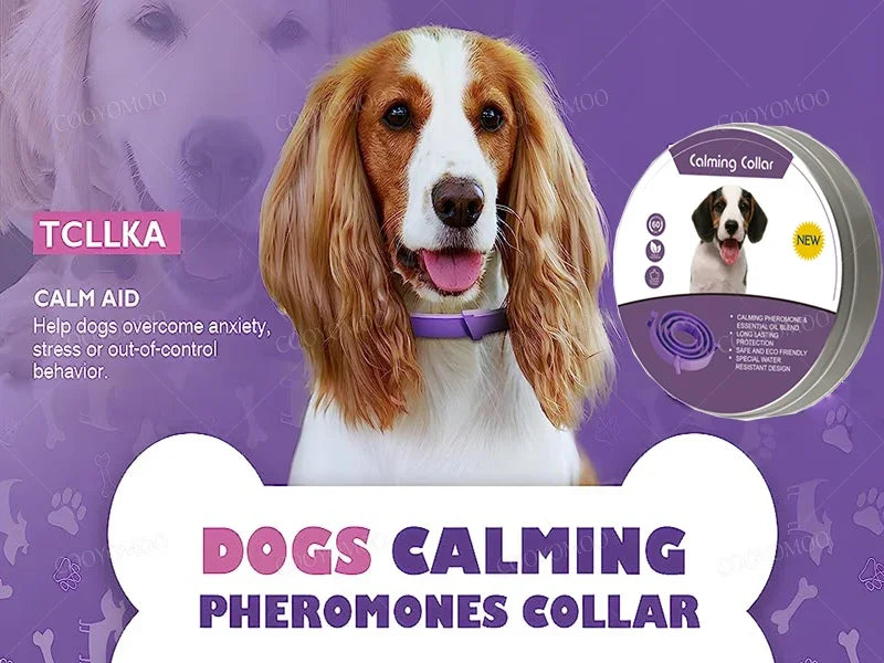 Nova Coleira para  cão e gato ( IMPORTADA DOS EUA )  calmante feromônio, aliviar ansiedade ajustável confortável colar para filhote de cachorro gatinho grande cão